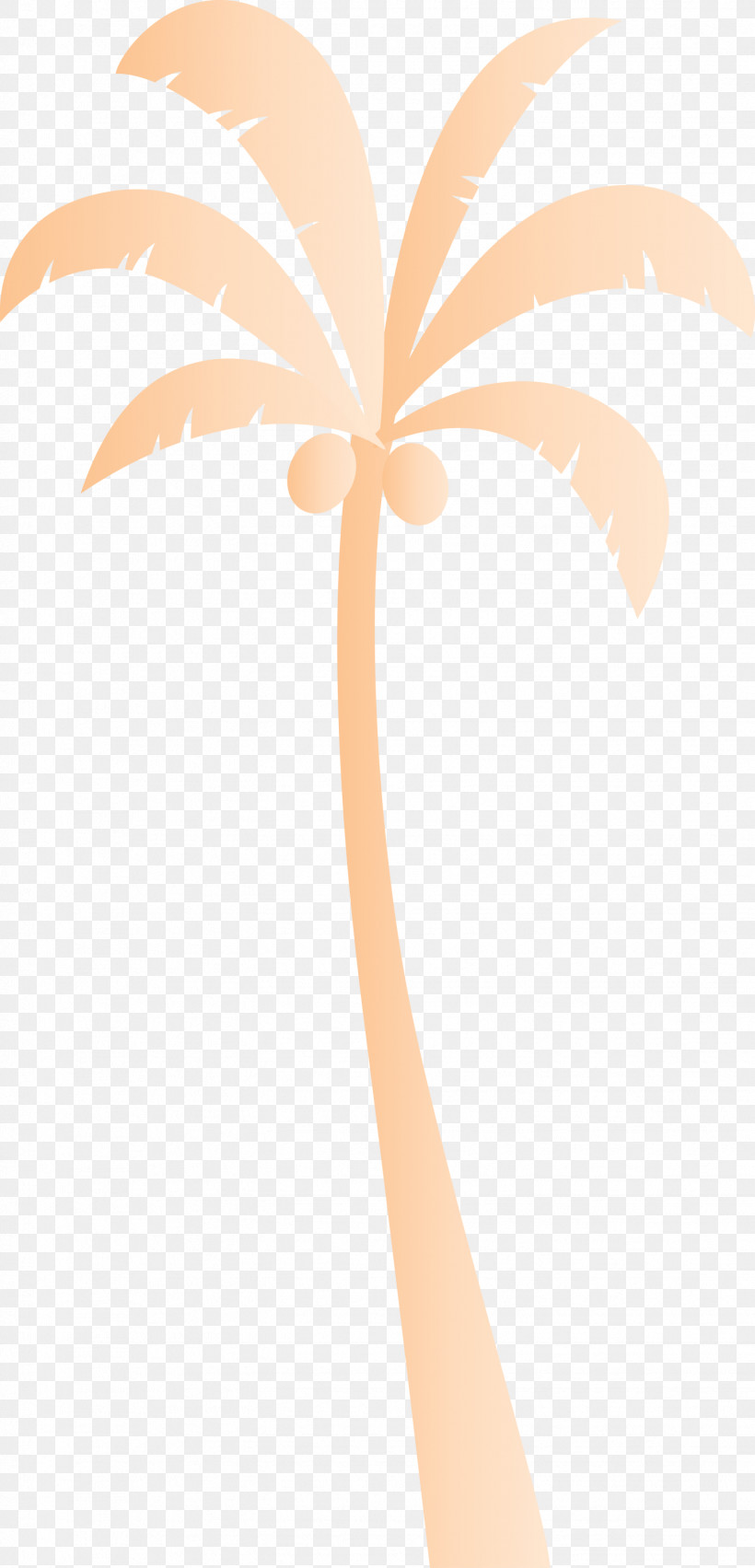 Line M-tree Meter Tree, PNG, 1444x3000px, Palm Tree, Beach, Cartoon Tree, Line, Meter Download Free