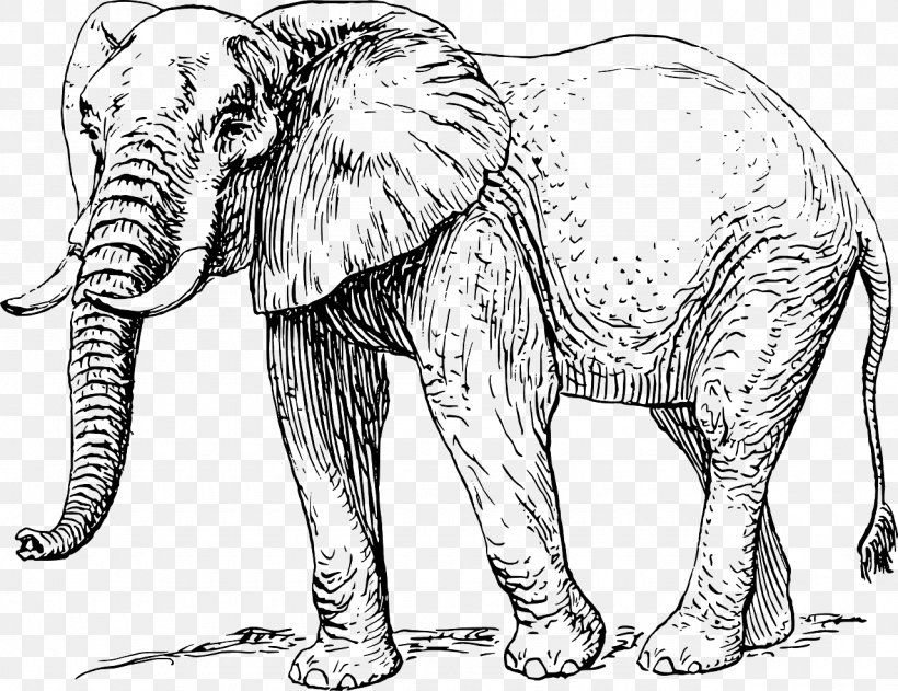 Asian Elephant African Elephant Drawing Clip Art, PNG, 1280x985px, Asian Elephant, African Elephant, Animal Figure, Big Cats, Black And White Download Free