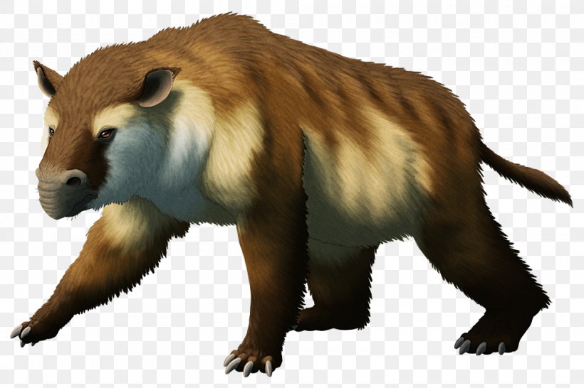 Beaver Bear Mammal Miocene Homalodotherium, PNG, 1000x667px, Beaver, Animal, Bear, Carnivoran, Fauna Download Free