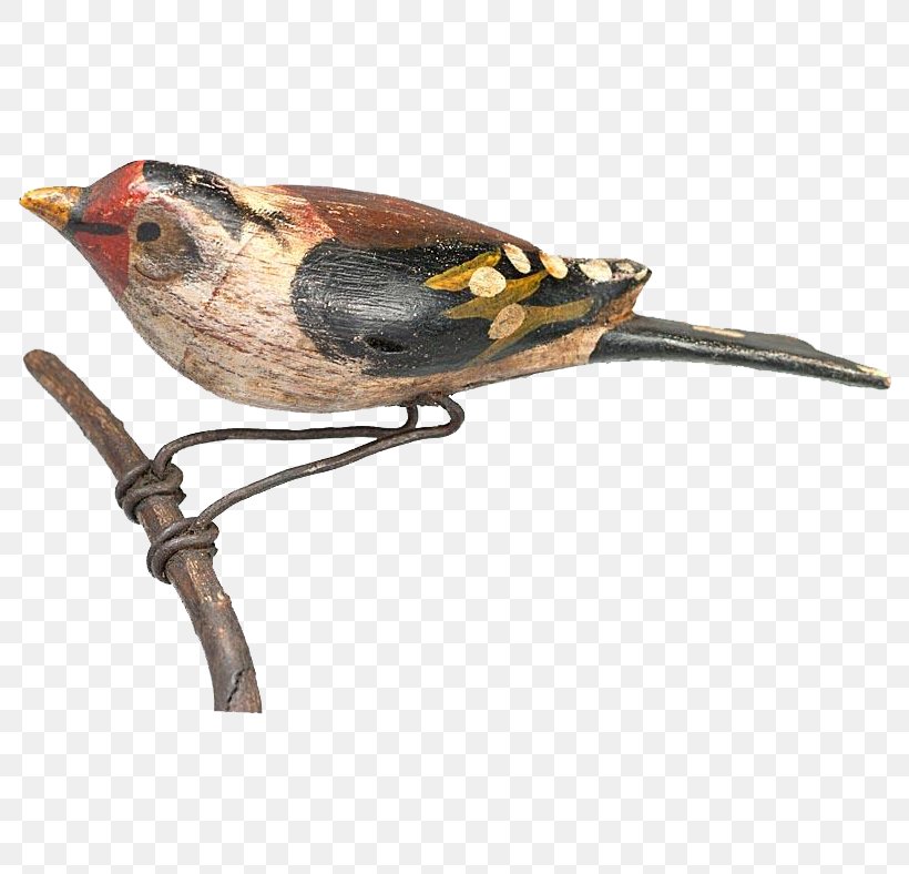 Bird Finch Wren Beak Fauna, PNG, 788x788px, Bird, Beak, Fauna, Finch, Wing Download Free