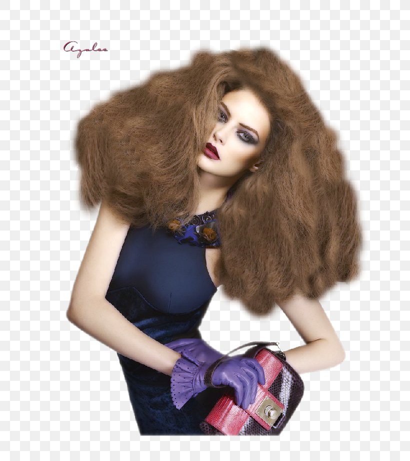 Fashion Design Beauty Model Wig, PNG, 694x920px, Fashion, Beauty, Brown Hair, Fashion Design, Fashion Model Download Free