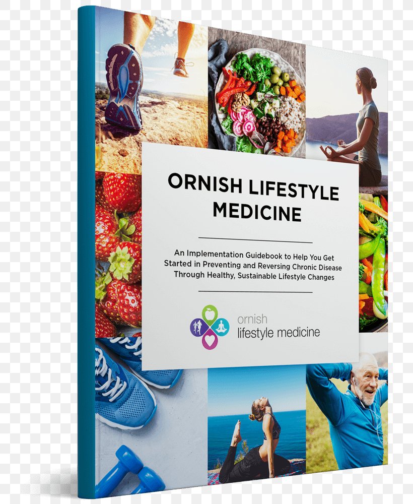 Lifestyle Medicine Nutrition Stress Management Graphic Design, PNG, 782x1000px, Lifestyle Medicine, Advertising, Art, Brochure, Flyer Download Free