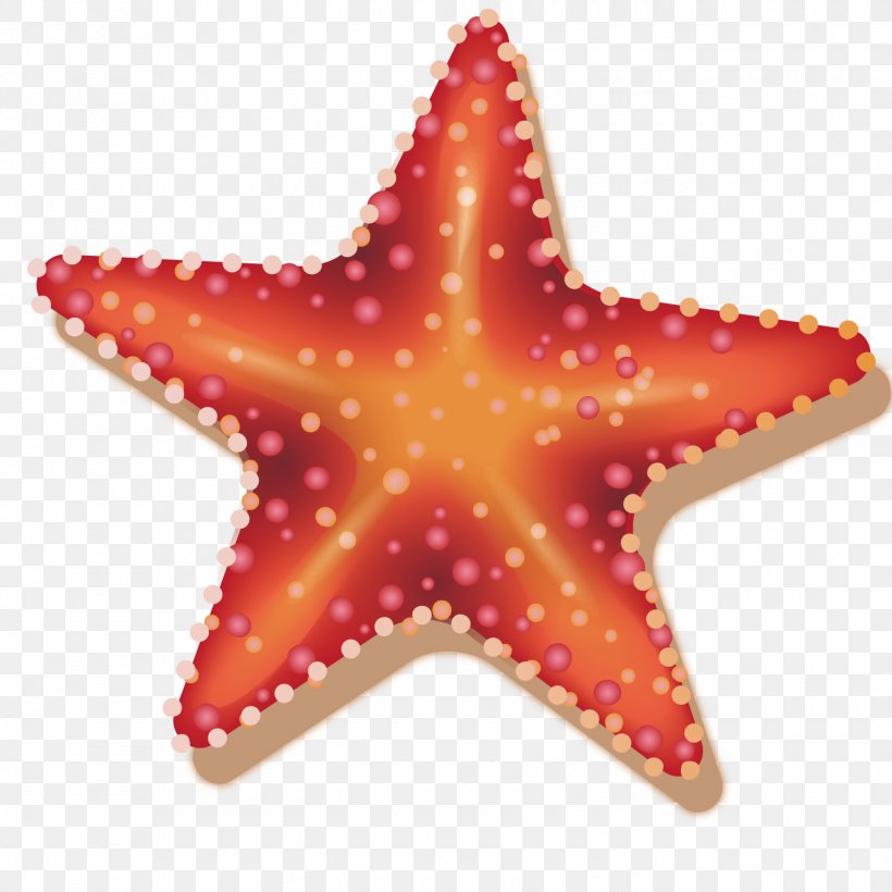 Starfish Sea, PNG, 1500x1500px, Starfish, Echinoderm, Image Resolution, Invertebrate, Kinderfeest Download Free