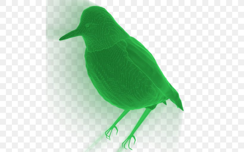 Beak Feather, PNG, 512x512px, Beak, Bird, Fauna, Feather, Green Download Free