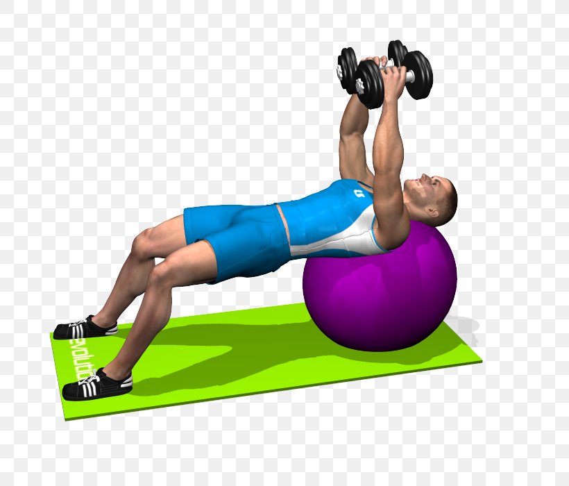 Exercise Balls Physical Fitness Dumbbell Crunch Bench, PNG, 700x700px, Exercise Balls, Abdominal Exercise, Arm, Balance, Bench Download Free