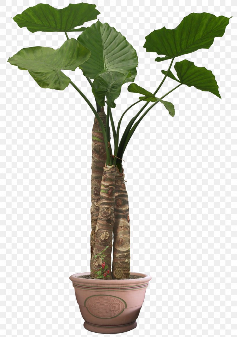 Flowerpot Houseplant Tree, PNG, 1040x1480px, Flowerpot, Cannabis, Fiddleleaf Fig, Flower, Garden Download Free