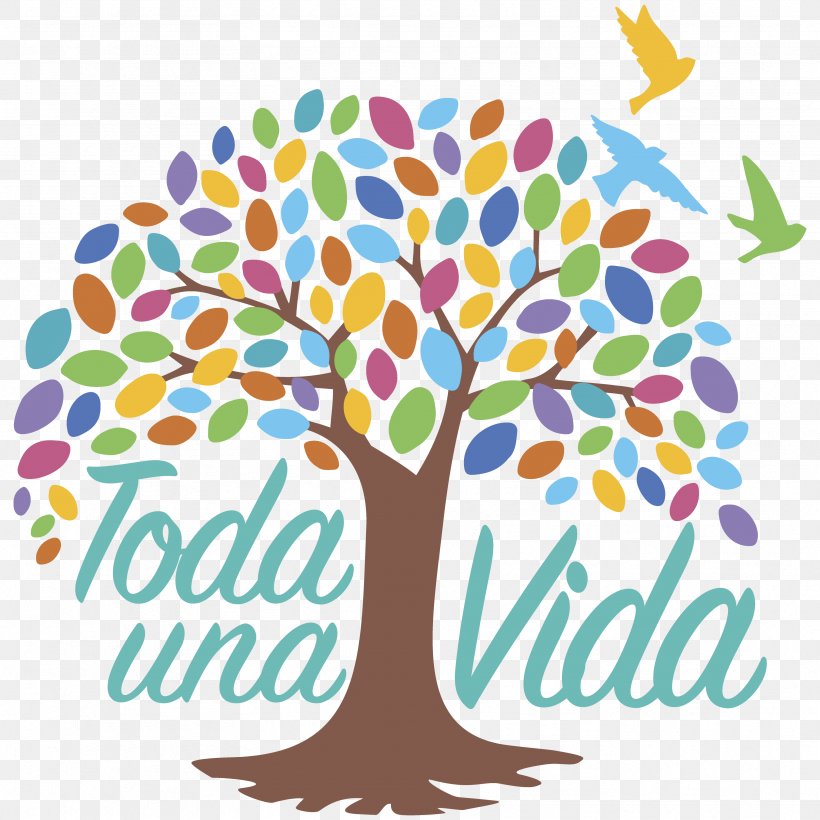 Ecuador 0 Toda Una Vida Life Education, PNG, 3333x3333px, 2018, Ecuador, Area, Artwork, Branch Download Free