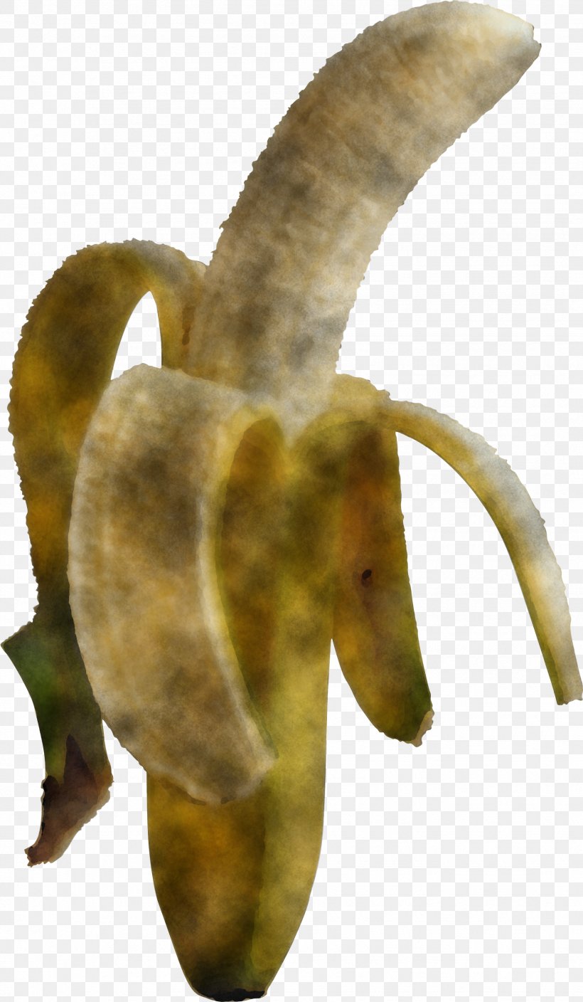 Horn Plant Leaf Flower Animal Figure, PNG, 1747x3000px, Horn, Animal Figure, Dendrobium, Flower, Leaf Download Free