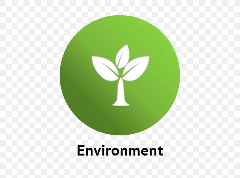 Natural Environment Environmental Management System Desktop Wallpaper, PNG, 609x610px, Natural Environment, Brand, Ecology, Environmental Management System, Environmental Policy Download Free