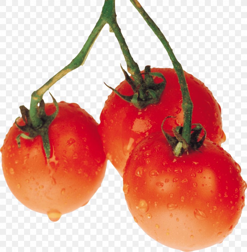 Plum Tomato PhotoScape, PNG, 1876x1917px, Tomato, Bush Tomato, Cherry, Diet Food, Food Download Free