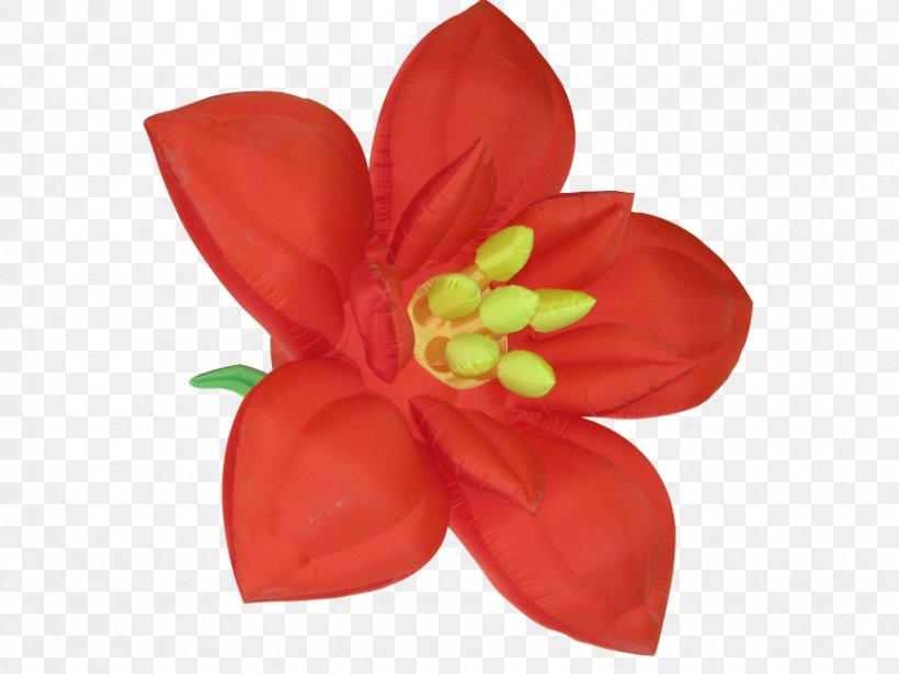 Red Flower Clip Art Image, PNG, 866x650px, Red, Anthurium, Begonia, Botany, Color Download Free