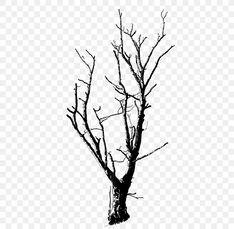 Clip Art Drawing Branch Tree Image, PNG, 566x800px, Drawing, Black And White, Branch, Cartoon, Flora Download Free