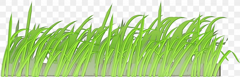 Green Grass Background, PNG, 2555x824px, Watercolor, Cartoon, Drawing, Fodder, Grass Download Free