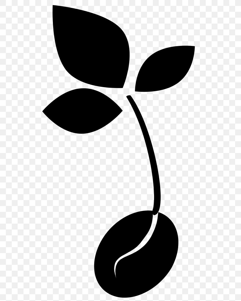 Seed Sprouting Clip Art, PNG, 564x1023px, Seed, Artwork, Black And White, Business, Drawing Download Free