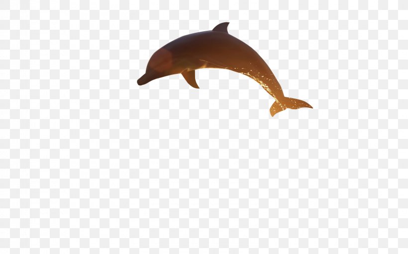 YouTube Desktop Wallpaper Clip Art, PNG, 1600x1000px, Youtube, Animal Figure, Art, Dolphin, Fauna Download Free