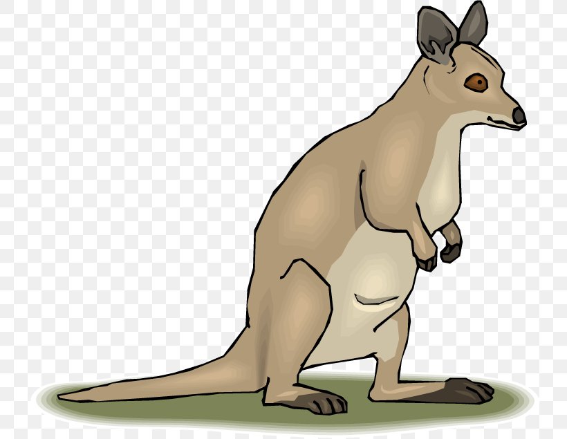 Marsupial Tree-kangaroo Mammal Clip Art, PNG, 750x635px, Marsupial, Animal, Animal Figure, Carnivoran, Cuteness Download Free