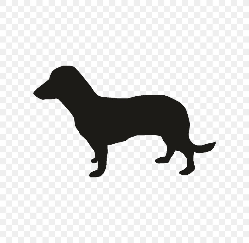 Miniature Dachshund Puppy Vector Graphics Dog Breed, PNG, 800x800px, Dachshund, Black, Black And White, Carnivoran, Dog Download Free