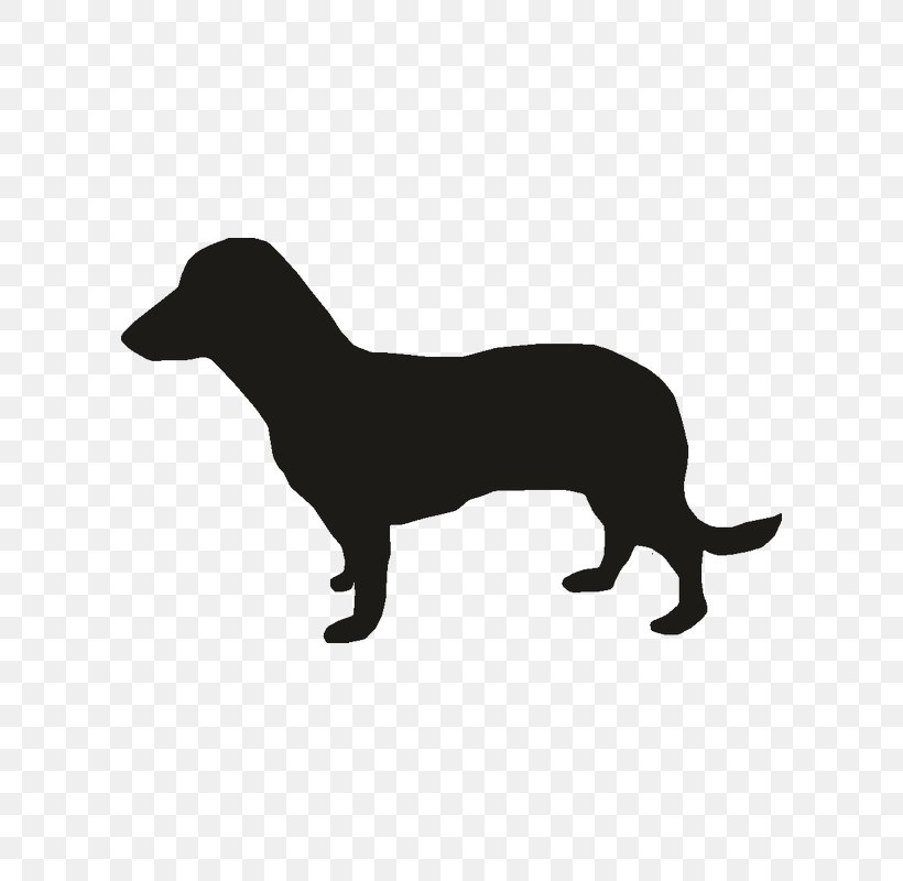 Miniature Dachshund Puppy Vector Graphics Dog Breed Png 800x800px Dachshund Black Black And White Carnivoran Dog