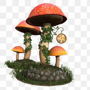Mushroom - Mushroom DeviantArt Photography PNG