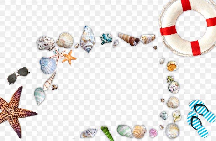 Seashell Beach Sea Snail, PNG, 5000x3286px, Seashell, Beach, Google Images, Sea Snail, Seafood Download Free