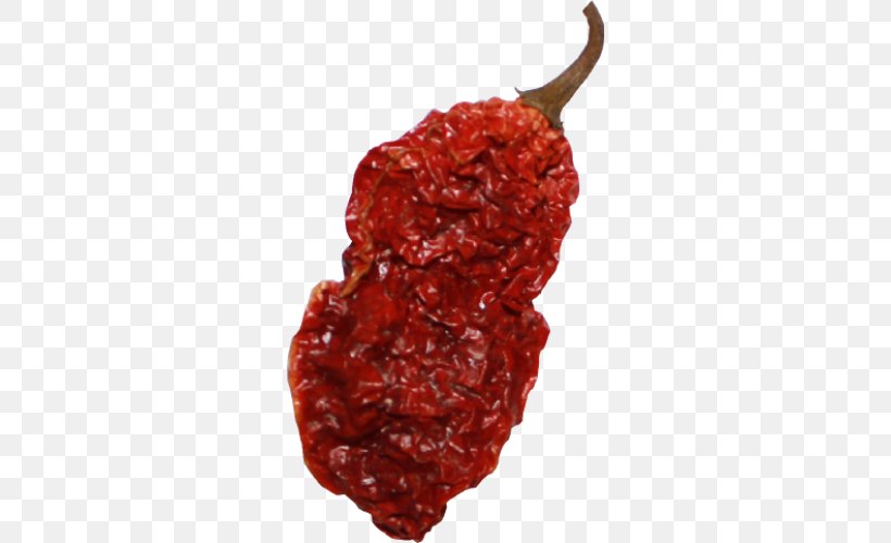 Bhut Jolokia Chili Pepper Scoville Unit Chipotle Carolina Reaper, PNG, 500x500px, Bhut Jolokia, Aleppo Pepper, Bell Peppers And Chili Peppers, Berry, Capsicum Download Free
