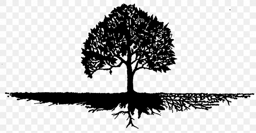 Context Hermeneutics Understanding Root, PNG, 1676x873px, Context, Animation, Arbor Day, Blackandwhite, Botany Download Free