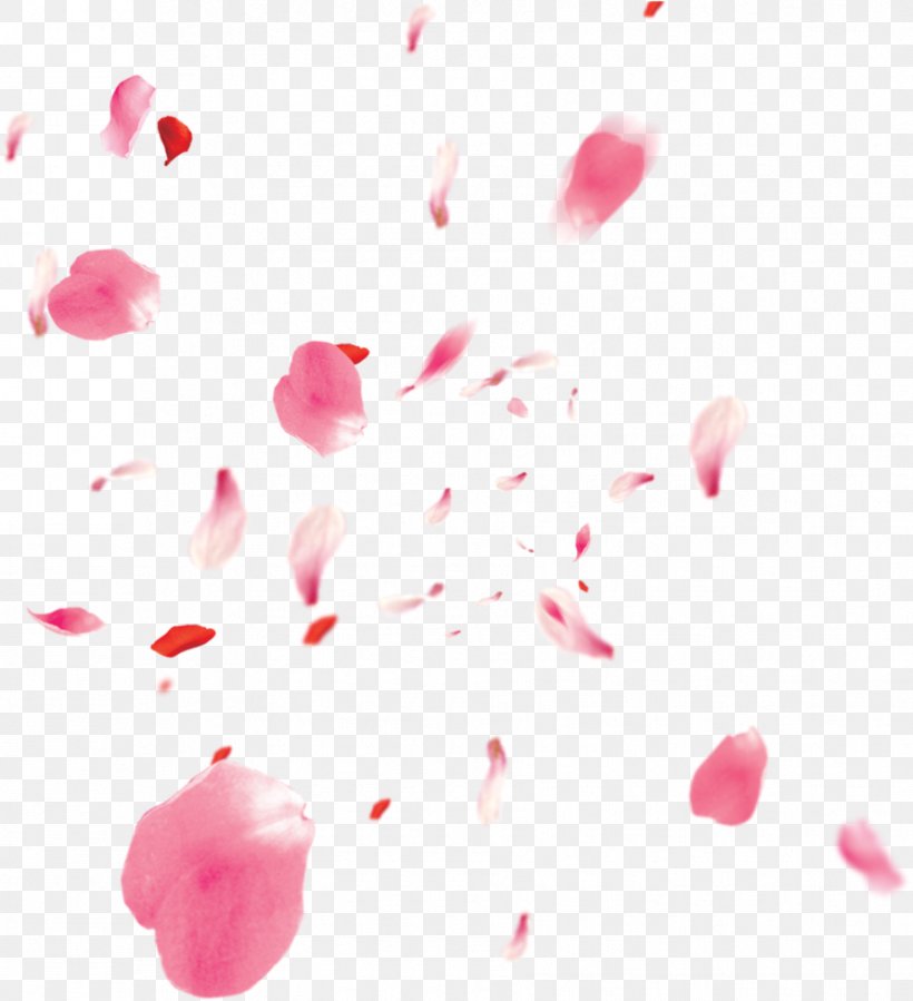 Pink Petal Heart Magenta, PNG, 891x977px, Pink, Heart, Magenta, Petal Download Free