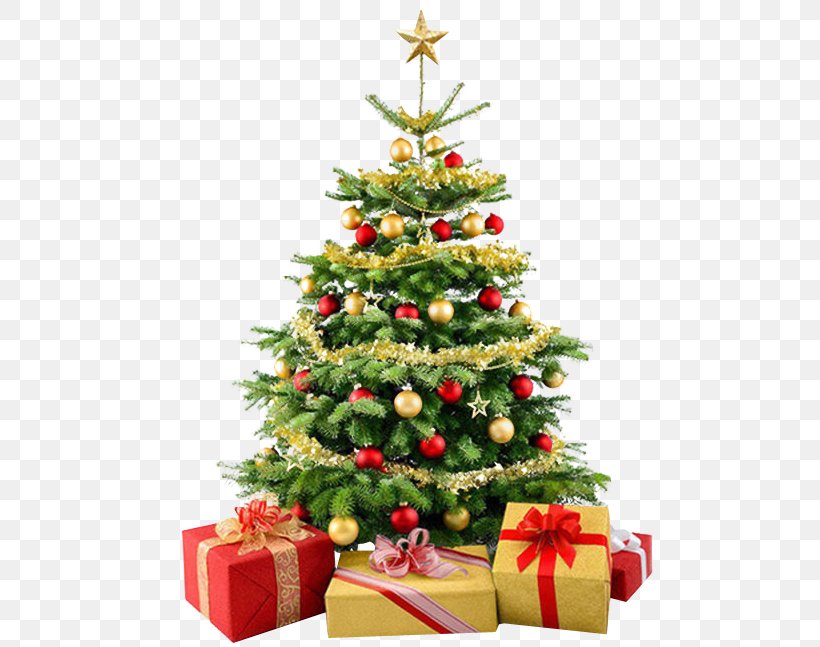 Stock Photography Christmas Tree Clip Art, PNG, 495x647px, Stock Photography, Christmas, Christmas Decoration, Christmas Lights, Christmas Ornament Download Free