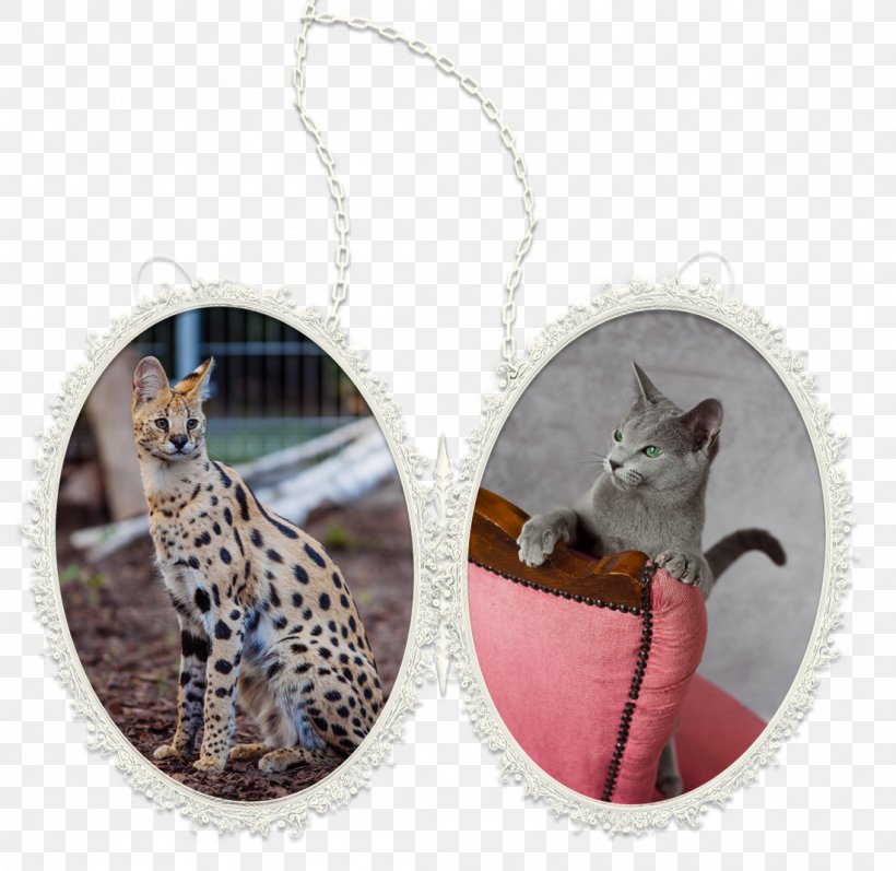 Russian Blue Serval Cat, PNG, 1101x1071px, Russian Blue, Cat, Jewellery, Necklace, Pendant Download Free