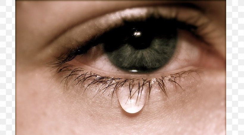 Tears Eye Crying Emotion Iris, PNG, 833x463px, Watercolor, Cartoon, Flower, Frame, Heart Download Free