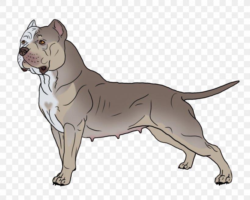 American Pit Bull Terrier Bulldog American Staffordshire Terrier Old English Terrier, PNG, 1024x819px, American Pit Bull Terrier, American Bully, American Staffordshire Terrier, Animal, Bulldog Download Free