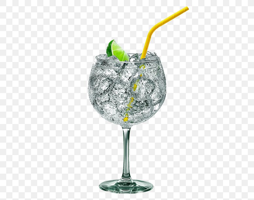 Gin And Tonic Cocktail Garnish Tonic Water, PNG, 645x645px, Gin And Tonic, Cocktail, Cocktail Garnish, Drink, Drinkware Download Free