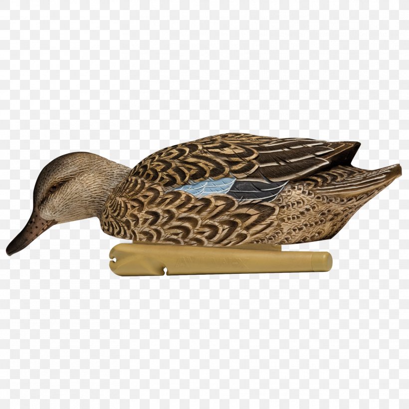 Mallard Duck Decoy Eurasian Teal Green-winged Teal, PNG, 1716x1716px, Mallard, Anseriformes, Beak, Bird, Blue Download Free