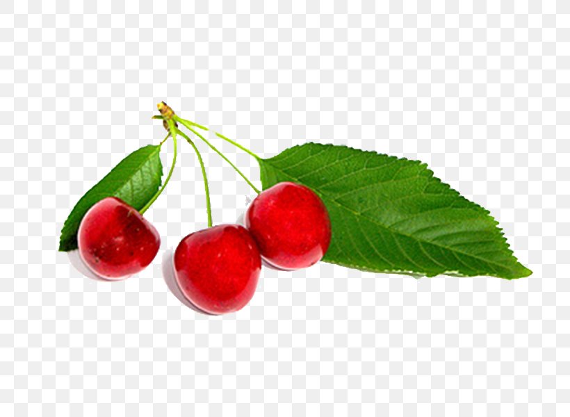 Cherry Blossom Liquorice Auglis Sweet Cherry, PNG, 800x600px, Cherry, Apricot, Auglis, Berry, Blossom Download Free