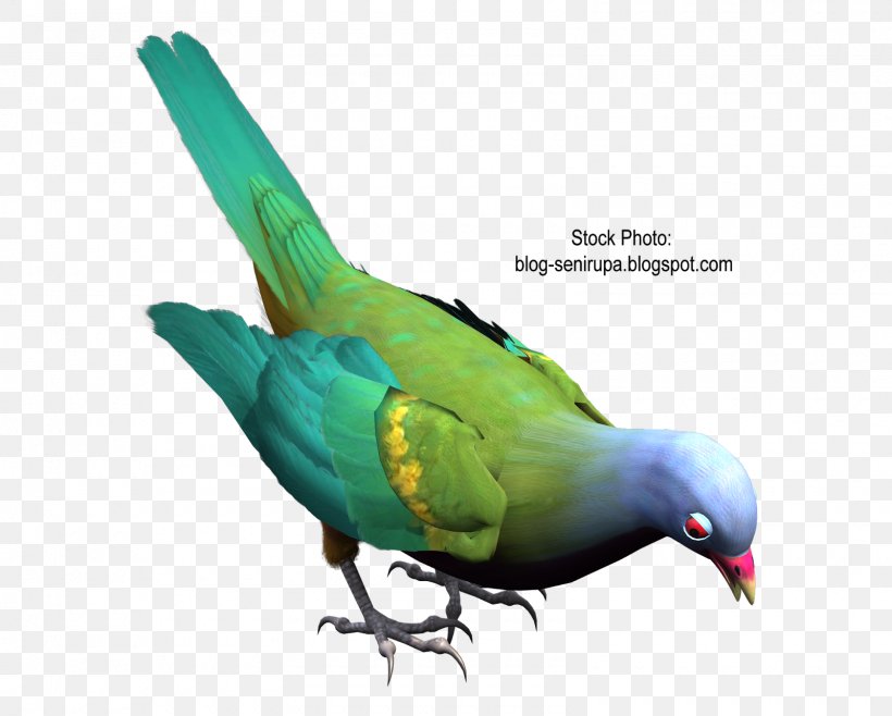 Macaw Art Parakeet Feather Beak, PNG, 1600x1284px, Macaw, Art, Artist, Beak, Bird Download Free