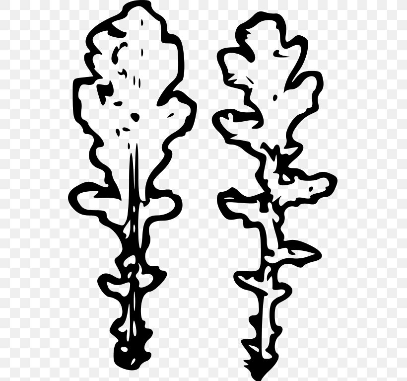 Plant Stem Leaf Flower White Clip Art, PNG, 545x767px, Plant Stem, Black And White, Branch, Branching, Flower Download Free