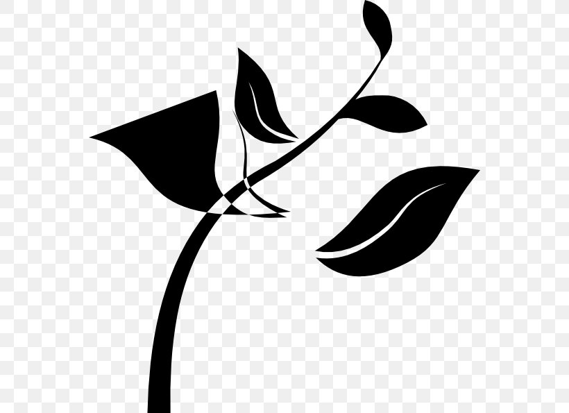 Seedling Plant Stem Clip Art, PNG, 564x595px, Seedling, Art, Artwork, Black, Black And White Download Free