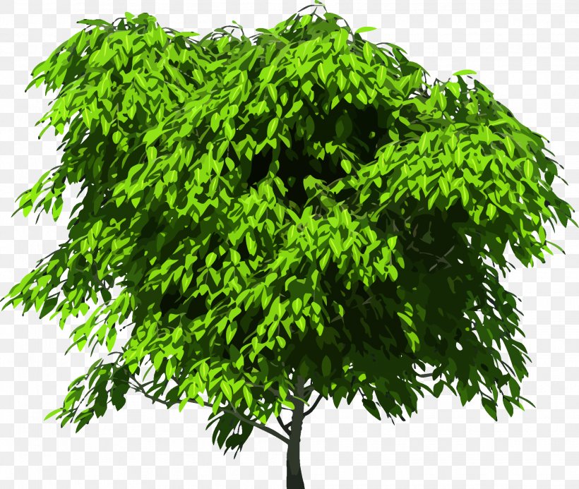 Tree Royalty-free Clip Art, PNG, 2035x1721px, Tree, Branch, Evergreen, Grass, Leaf Download Free