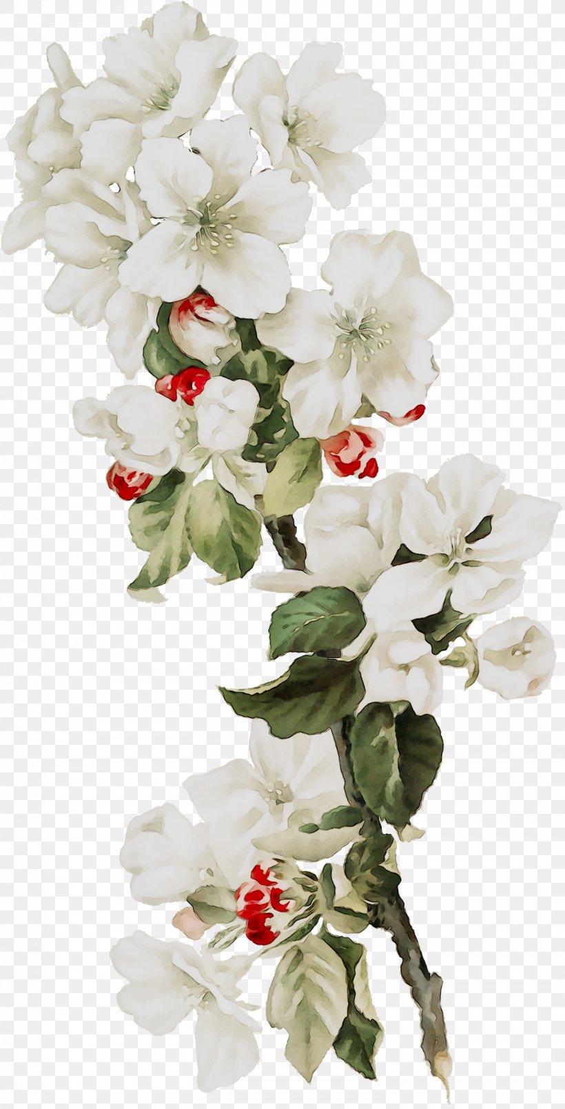 Floral Design Cut Flowers Flower Bouquet Plant Stem, PNG, 1517x2975px, Floral Design, Artificial Flower, Blossom, Bouquet, Branch Download Free