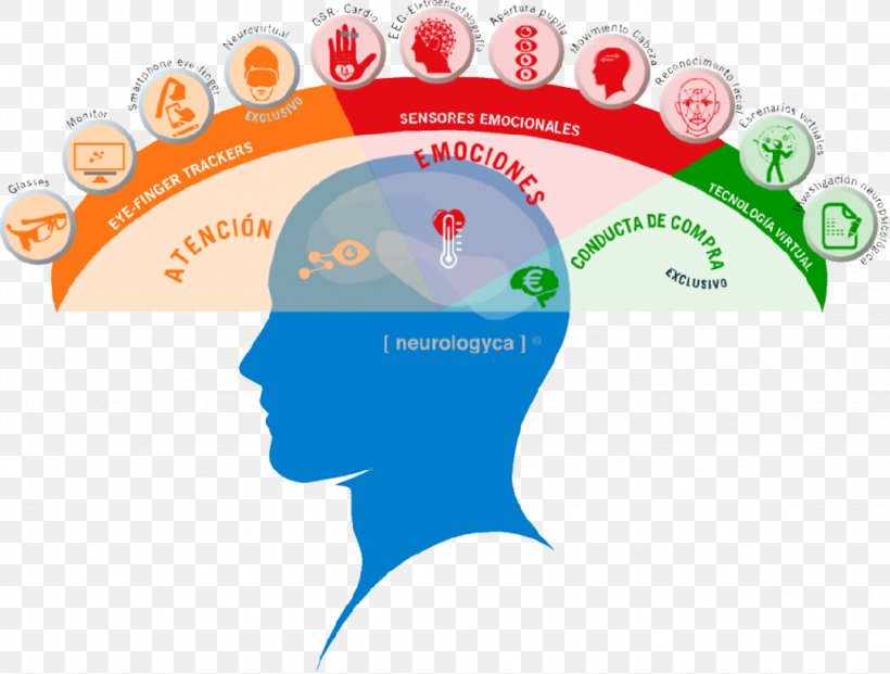 Neuromarketing Neuroscience Attention Neuroimaging Emotion, PNG, 1024x776px, Watercolor, Cartoon, Flower, Frame, Heart Download Free