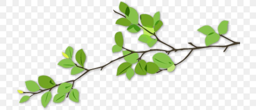 Twig Branch Tree Leaf Garden, PNG, 718x353px, Twig, Branch, Cactaceae, Garden, Leaf Download Free