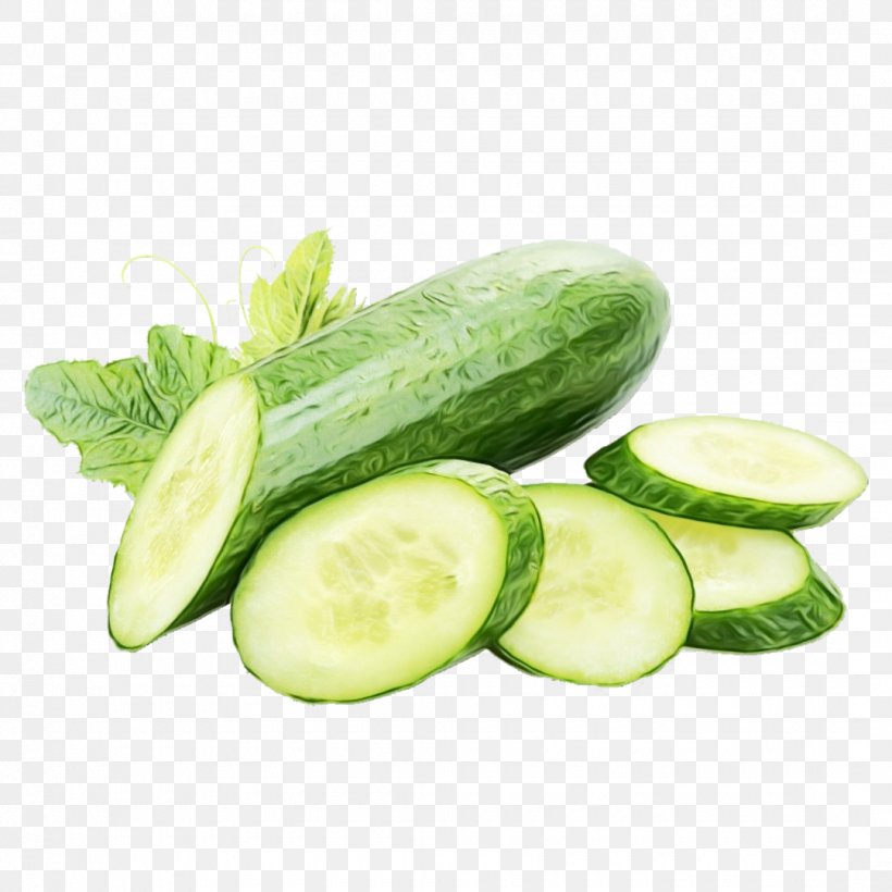 Winter Background, PNG, 1080x1080px, Watercolor, Armenian Cucumber, Cucumber, Cucumber Juice, Cucumis Download Free