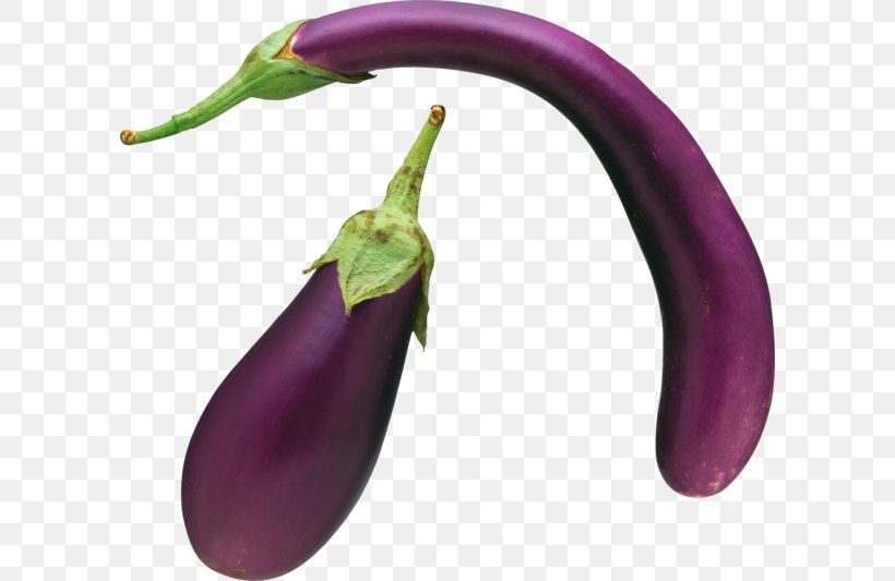 Eggplant Vegetable Fruit, PNG, 600x533px, Eggplant, Bell Peppers And Chili Peppers, Chili Pepper, Cucumber, Food Download Free