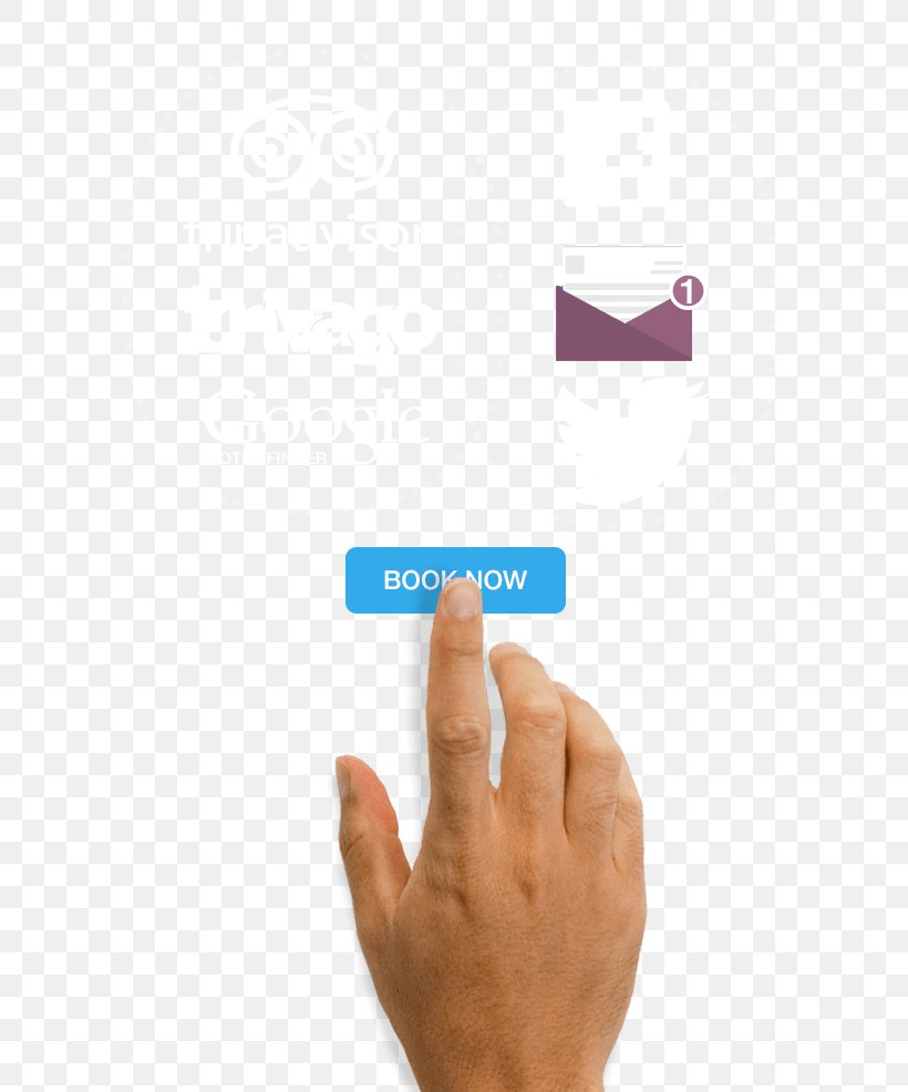 Finger, PNG, 667x986px, Finger, Hand Download Free