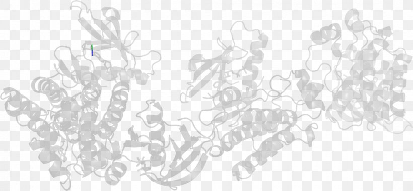 Line Art White Sketch, PNG, 1078x500px, Line Art, Artwork, Black, Black And White, Branch Download Free