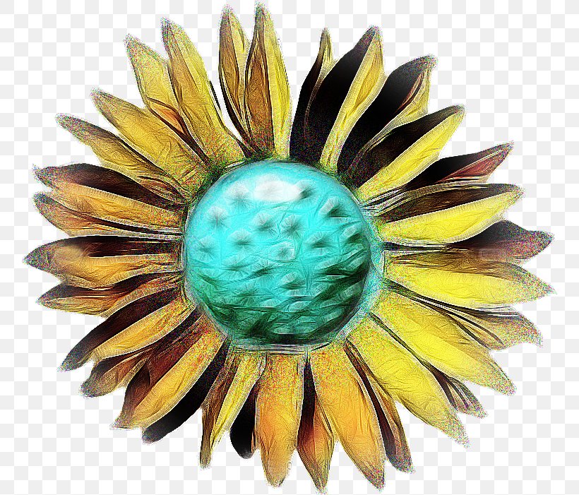 Sunflower, PNG, 758x701px, Sunflower, Flower Download Free