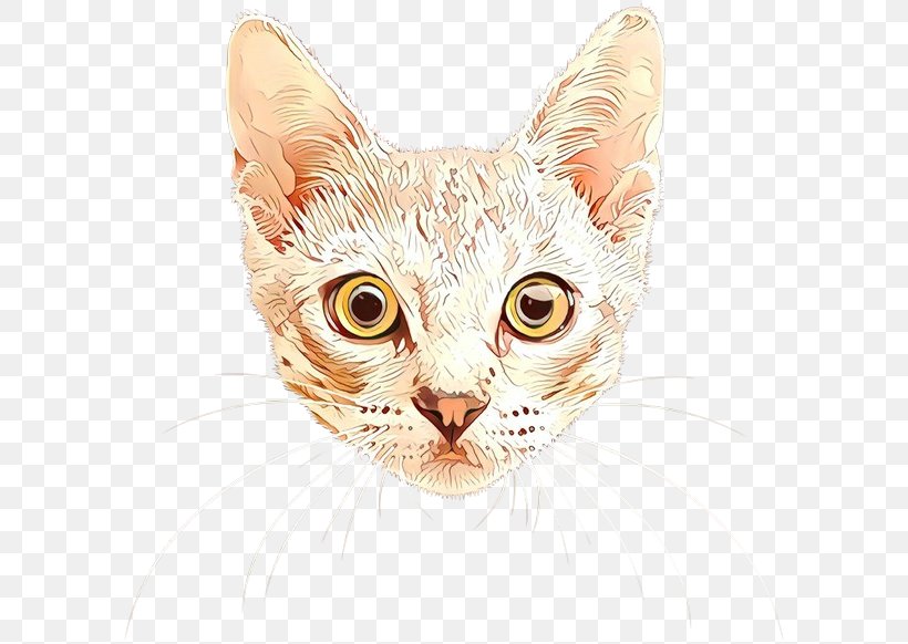 Cat Small To Medium-sized Cats Whiskers Tabby Cat Head, PNG, 600x582px, Cartoon, Cat, Head, Small To Mediumsized Cats, Snout Download Free