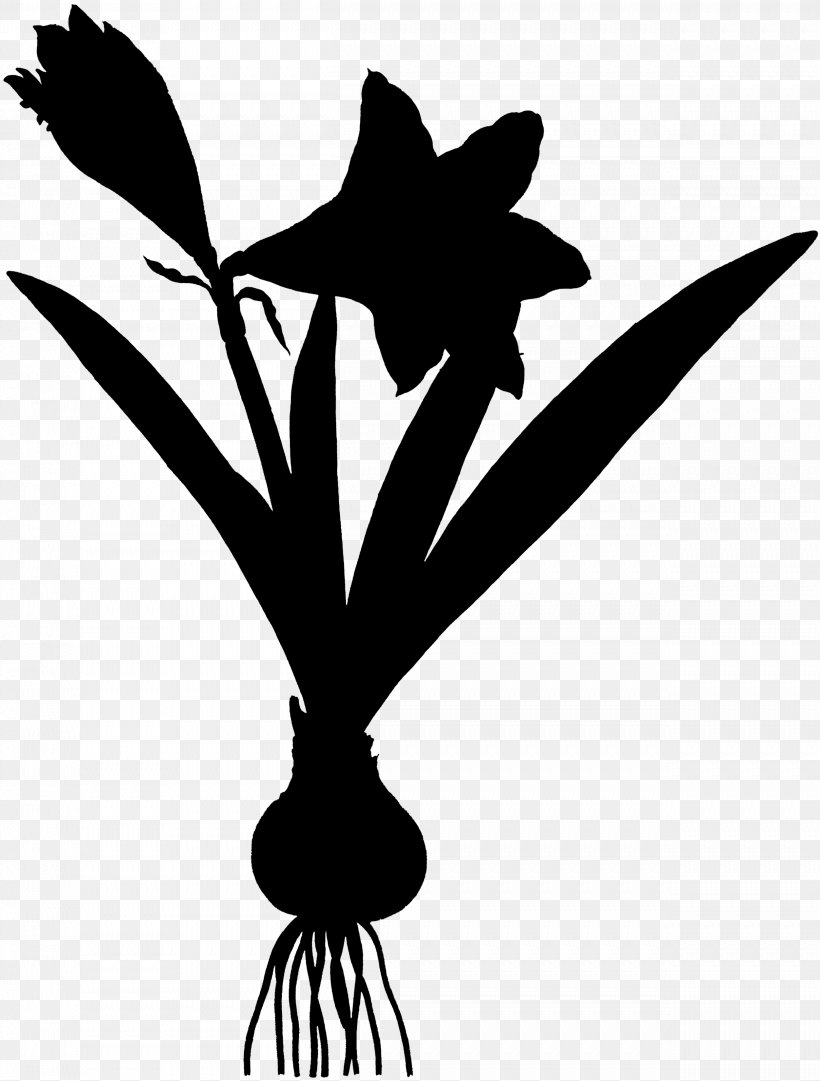 Clip Art Flower Plant Stem Leaf Silhouette, PNG, 2501x3300px, Flower, Amaryllis Belladonna, Beak, Blackandwhite, Botany Download Free