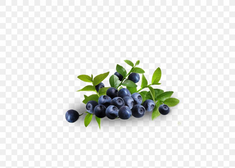 Dietary Supplement Bilberry Blueberry Herb Fruit, PNG, 1388x991px, Dietary Supplement, Berry, Bilberry, Blueberry, Cantaloupe Download Free