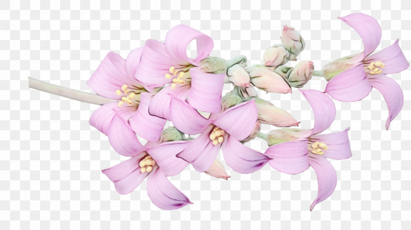 Flower Bouquet, PNG, 1280x718px, Watercolor, Cut Flowers, Flower, Flower Bouquet, Moth Orchids Download Free